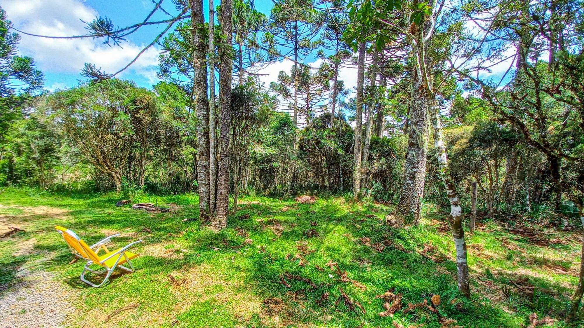 Cabana Na Floresta Rincao Do Fortaleza Cambará Eksteriør bilde